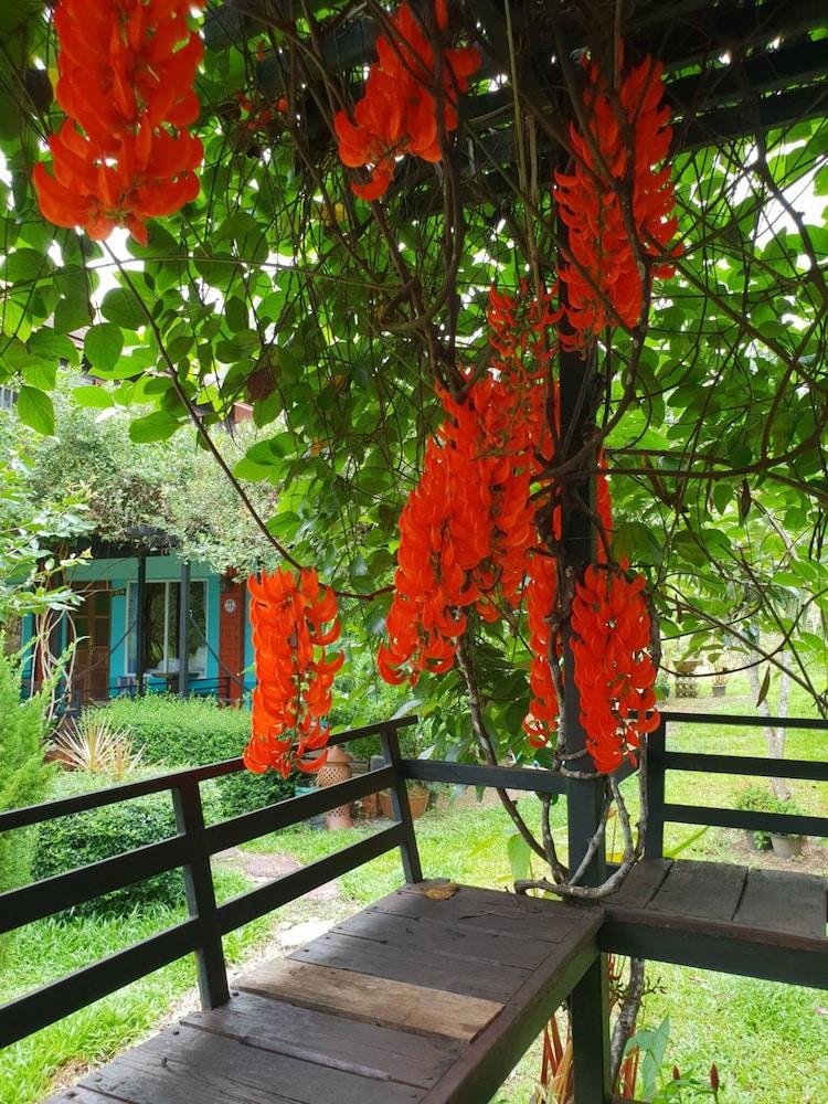 Ban Tha Khun Baan Suan Hill Resort מראה חיצוני תמונה
