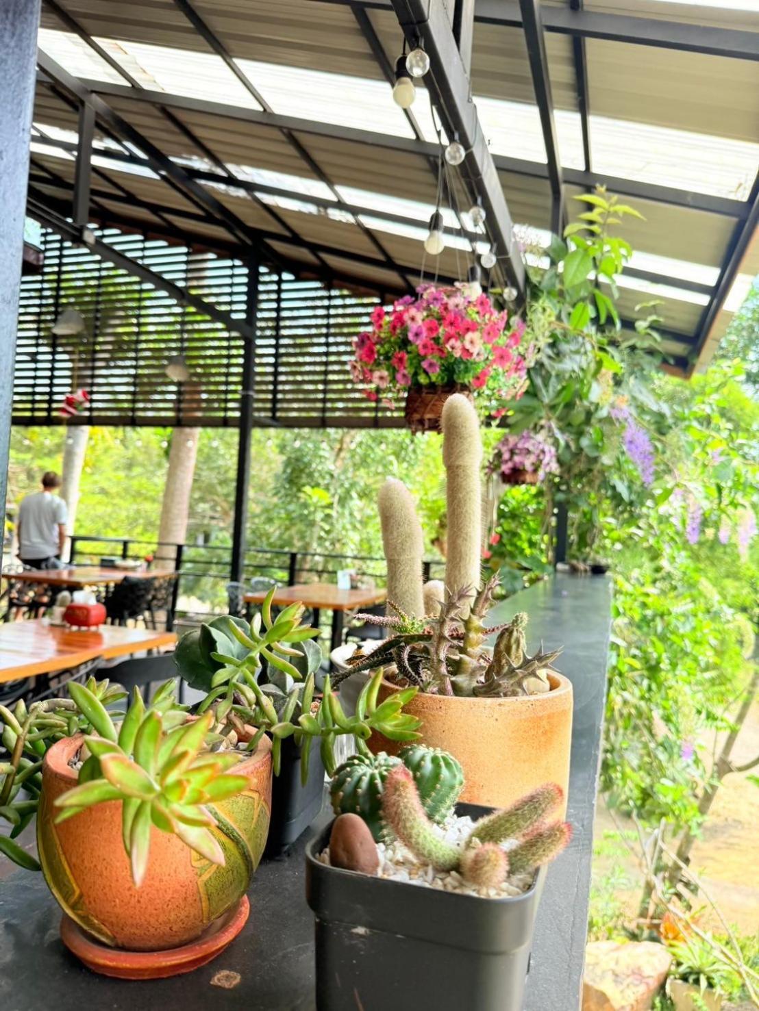 Ban Tha Khun Baan Suan Hill Resort מראה חיצוני תמונה