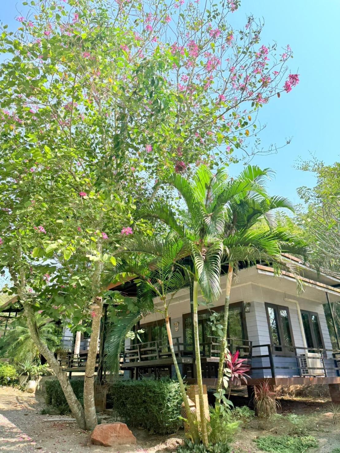 Ban Tha Khun Baan Suan Hill Resort מראה חיצוני תמונה